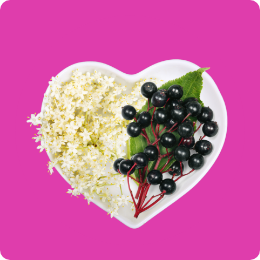 Image of Elderberry laying in a heart-shaped bowl